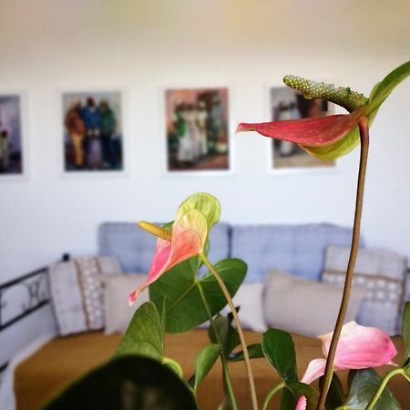 Casa Arte De Sorvilán Εξωτερικό φωτογραφία