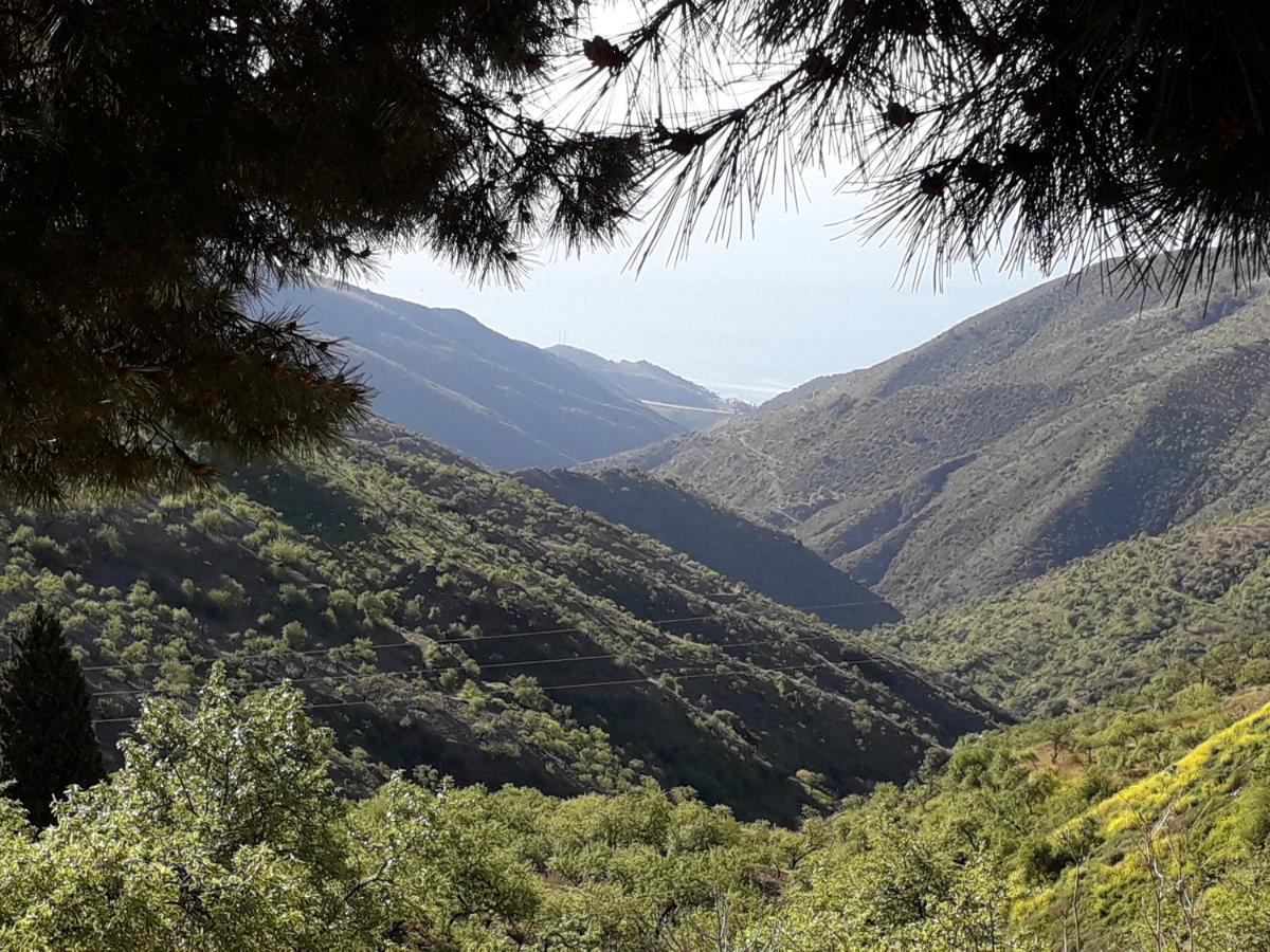 Casa Arte De Sorvilán Εξωτερικό φωτογραφία