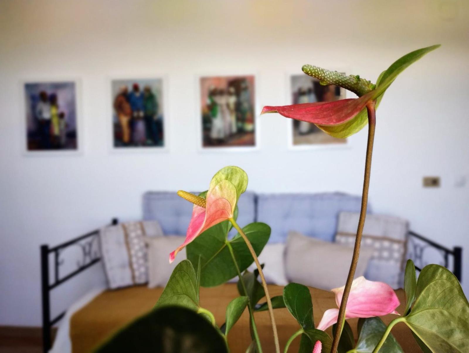 Casa Arte De Sorvilán Εξωτερικό φωτογραφία